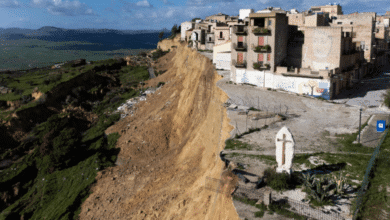 Copertina articoli Consumerismo ()