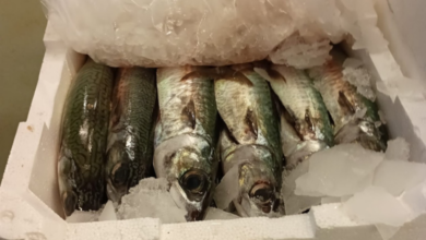 Copertina articoli Consumerismo