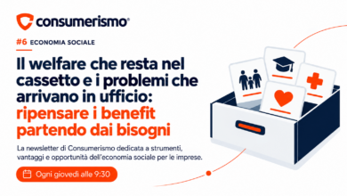 economia sociale welfare