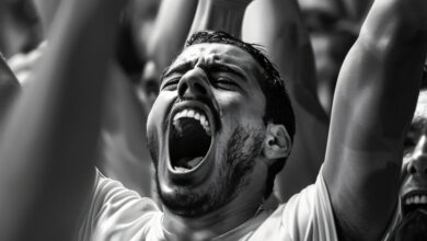 monochrome soccer fans cheering